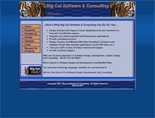 Tablet Screenshot of bigcatsoftware.net
